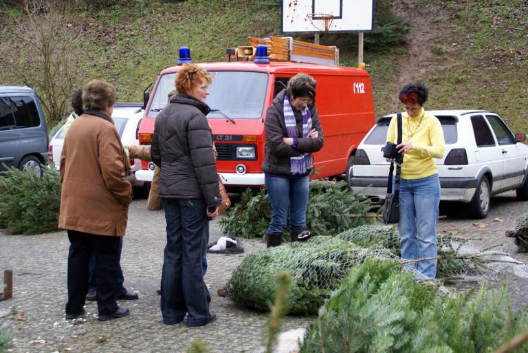 Weihnachtsbaumverkauf 2008 Bild Nr.024